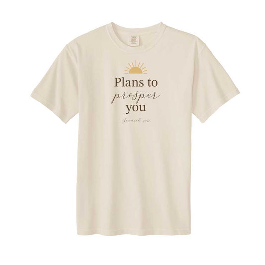 Plans to prosper you